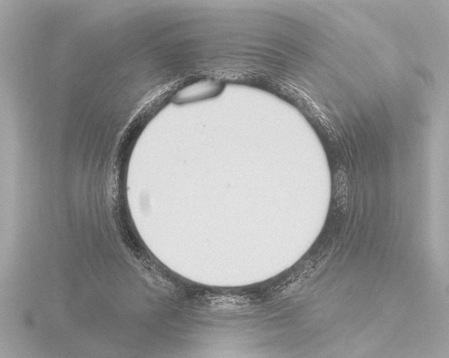 X0000115490400200912181408