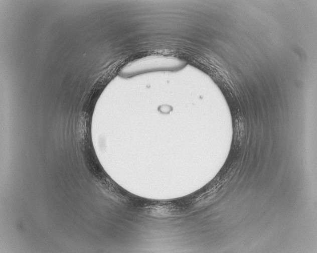 X0000115490412200912181407