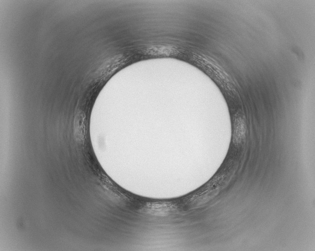 X0000115490414200912181407