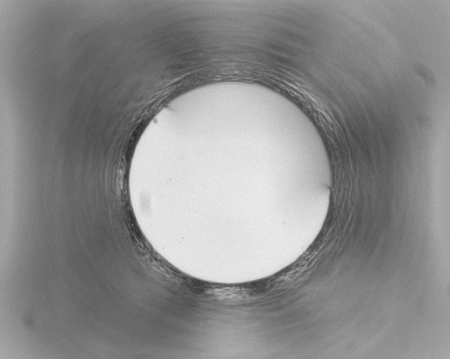X0000115490417200912181407
