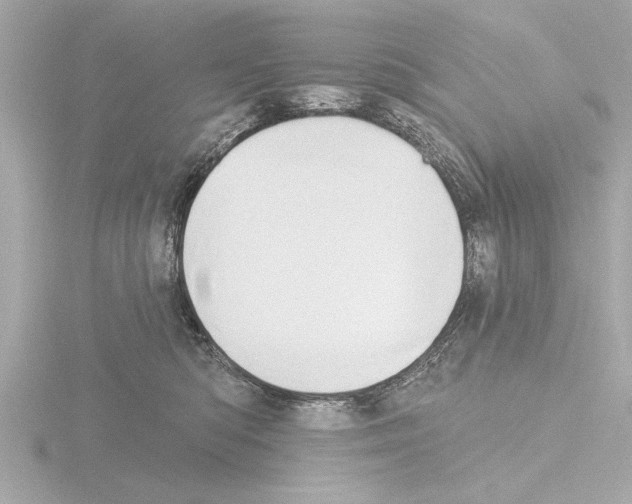 X0000115490422200912181407