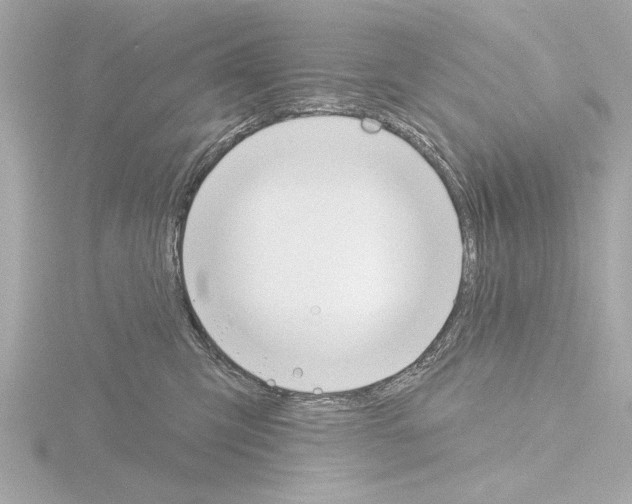 X0000115490423200912181407