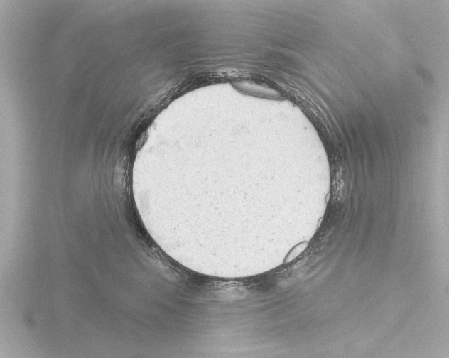 X0000115490424200912181407