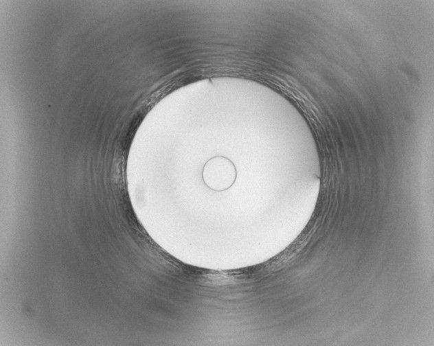 X0000115490425200912181407