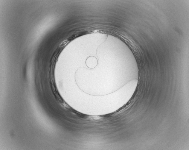 X0000115490429200912181407