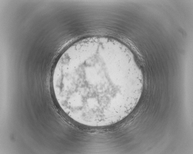 X0000115490434200912181406