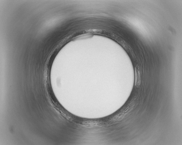 X0000115490435200912181406