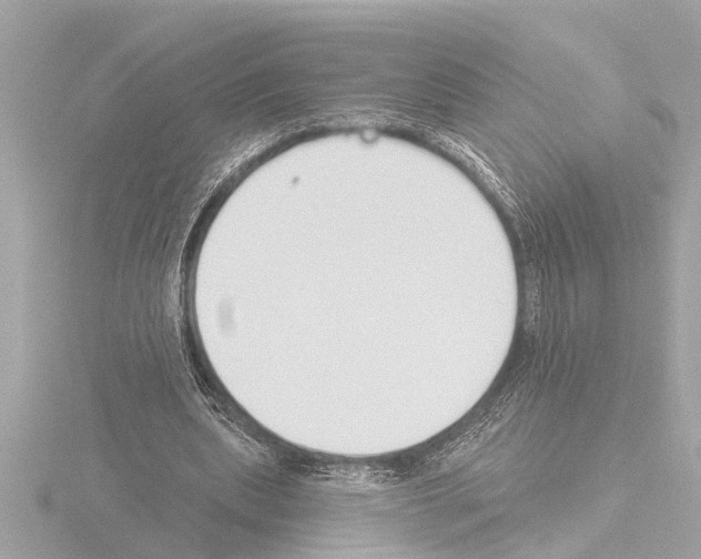 X0000115490439200912181406