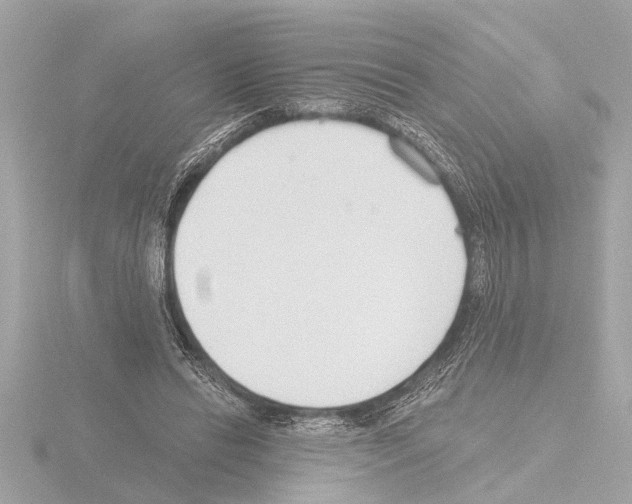 X0000115490446200912181406