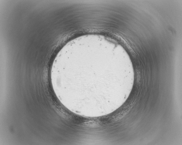 X0000115490447200912181406