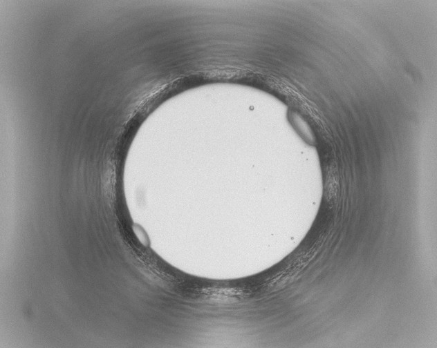 X0000115490448200912181407