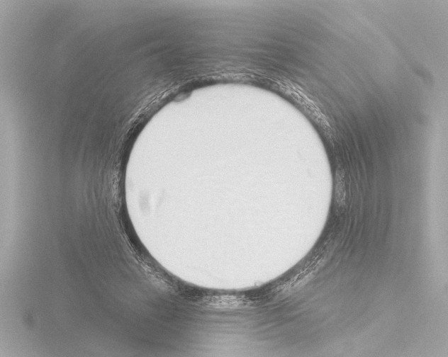 X0000115490449200912181407
