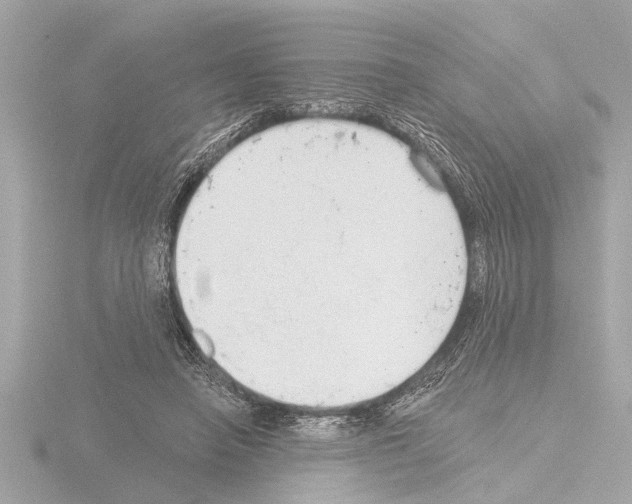 X0000115490450200912181407