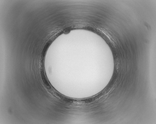 X0000115490455200912181407