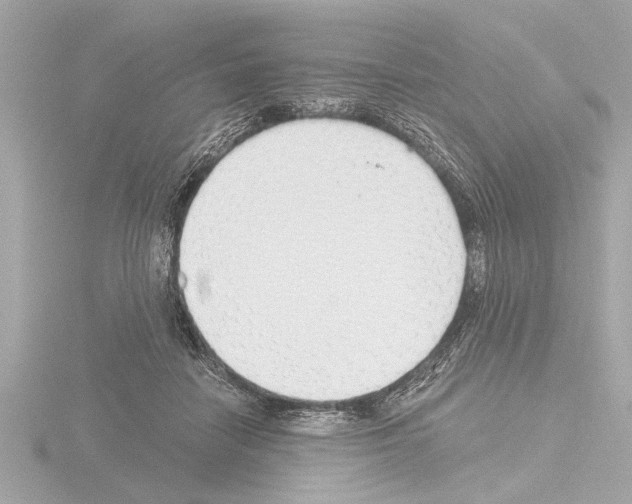 X0000115490458200912181407