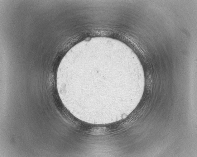 X0000115490459200912181407