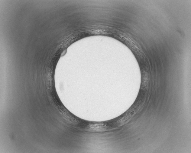 X0000115490461200912181407