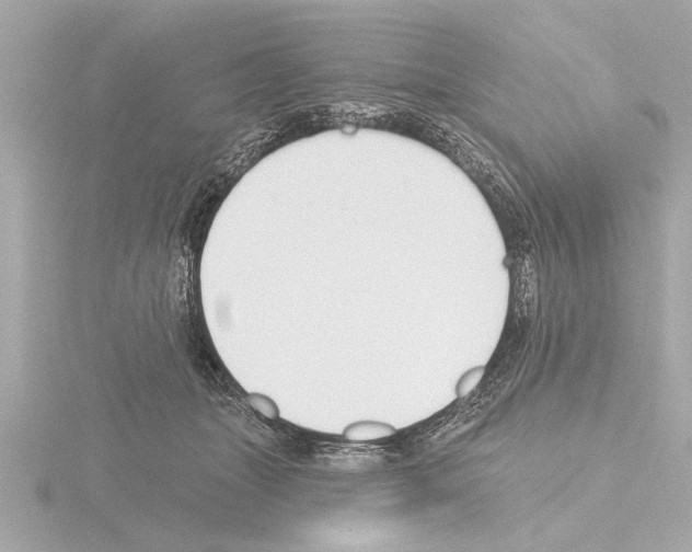 X0000115490463200912181407