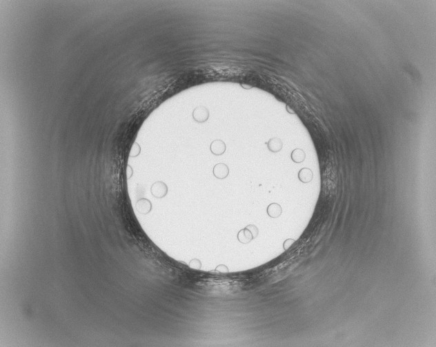X0000115490464200912181407