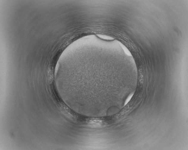 X0000115490471200912181407