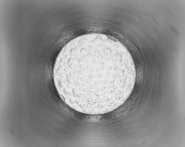 X0000115490474200912181407