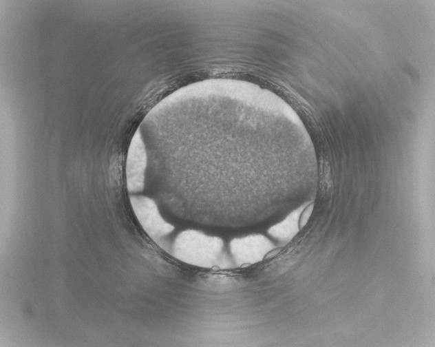 X0000115490475200912181407