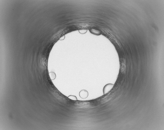 X0000115490476200912181407