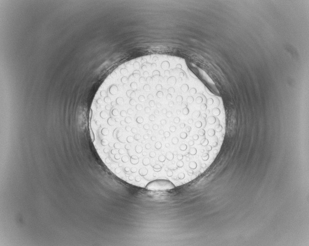 X0000115490478200912181407