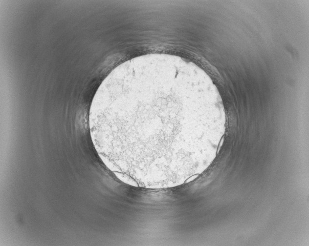 X0000115490479200912181407