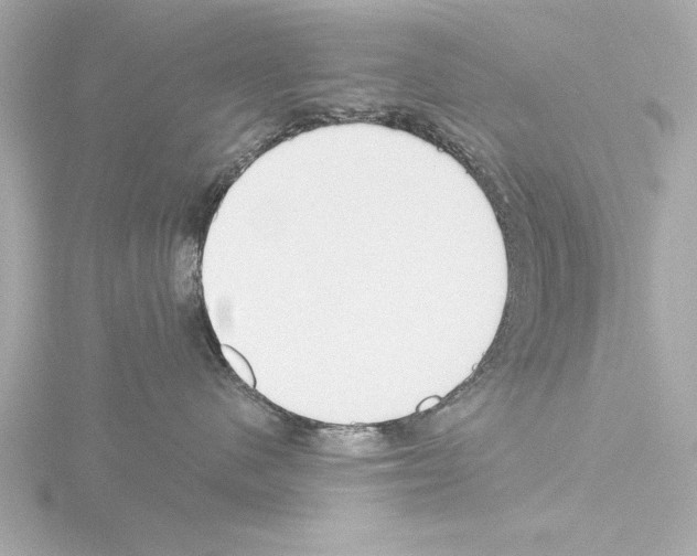 X0000115490480200912181407