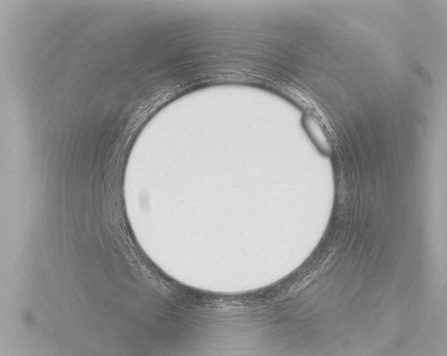 X0000115490481200912181406
