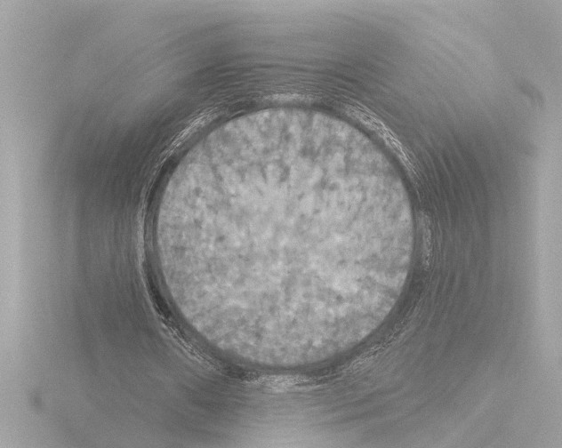 X0000115490482200912181406