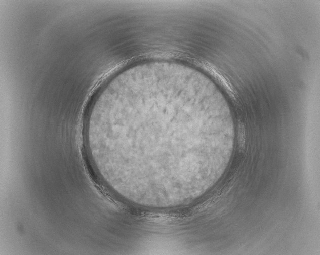X0000115490486200912181406
