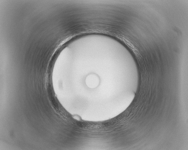 X0000115490488200912181406