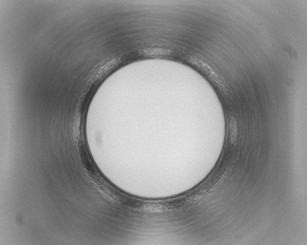 X0000115490490200912181406