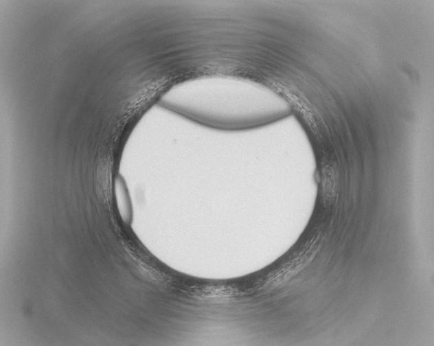 X0000115490493200912181406