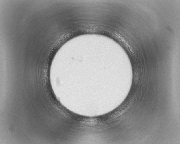 X0000115490497200912181406