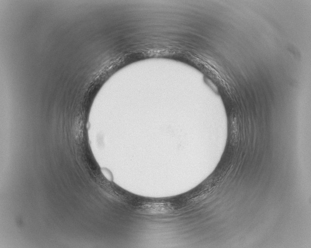 X0000115490499200912181406