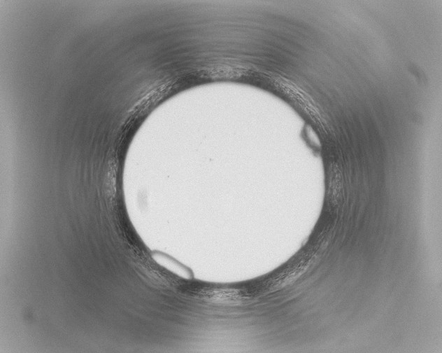 X0000115490501200912181406