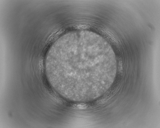 X0000115490506200912181406