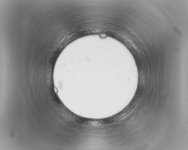 X0000115490509200912181406