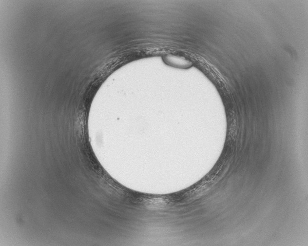 X0000115490513200912181406