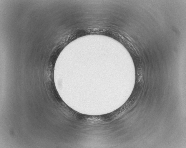 X0000115490515200912181406