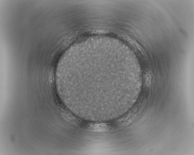 X0000115490517200912181406