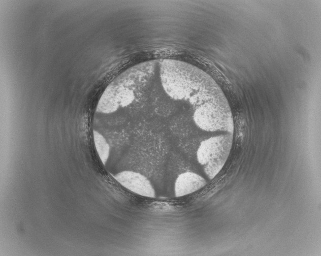 X0000115490519200912181406
