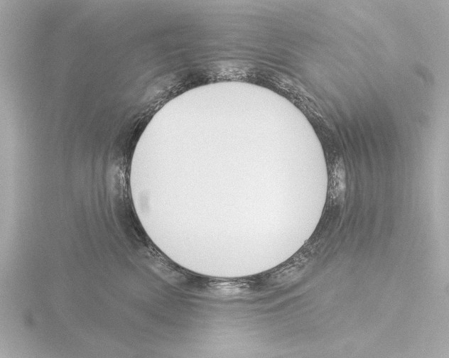X0000115490522200912181406
