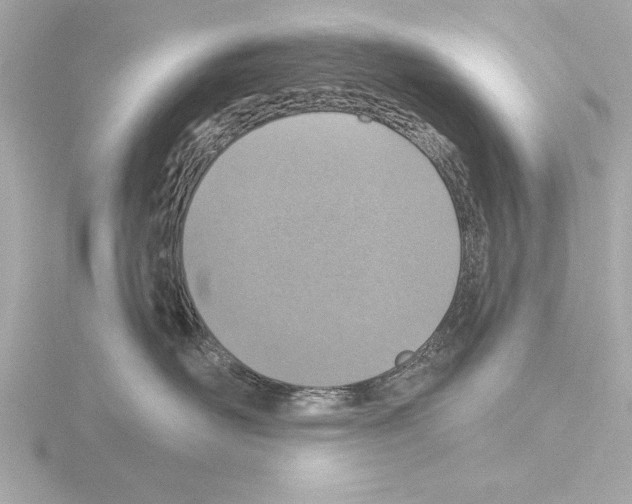 X0000115490526200912181406