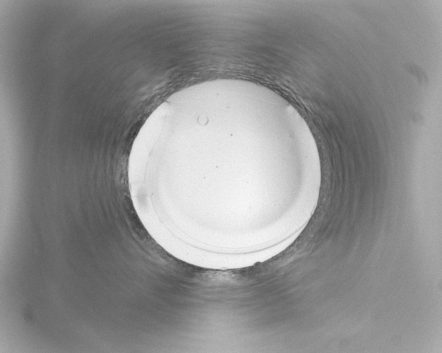X0000115490528200912181406