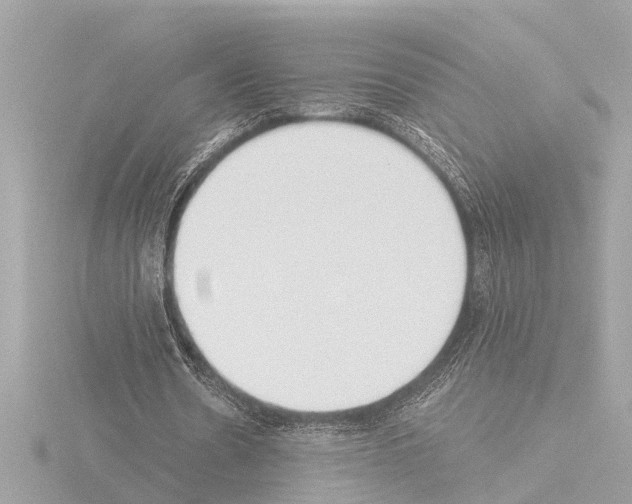 X0000115490530200912181405