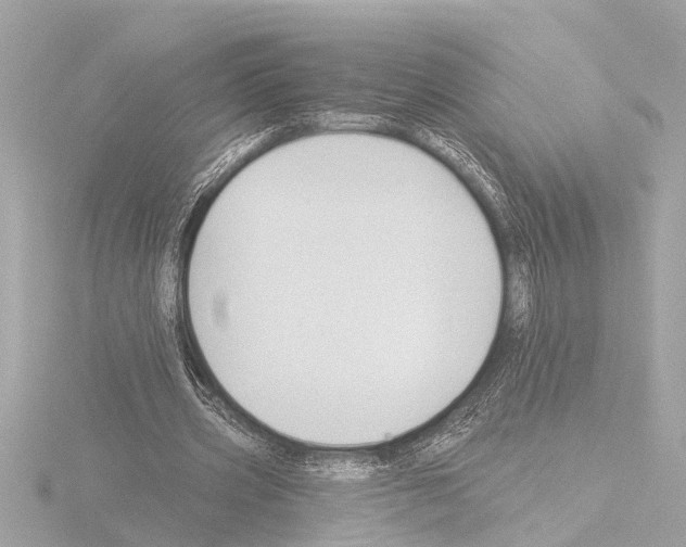 X0000115490533200912181405